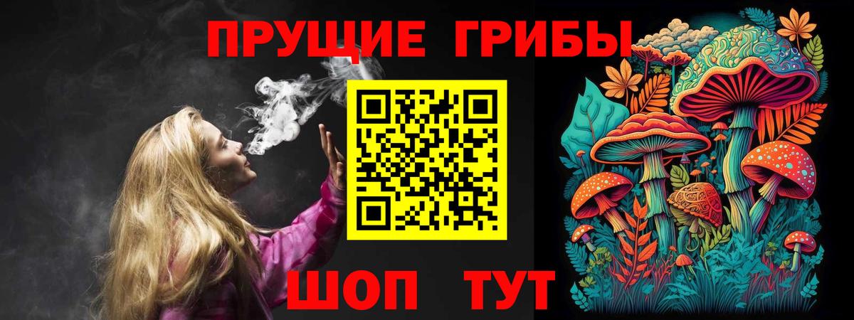 Псилоцибиновые грибы Psilocybe Кольчугино